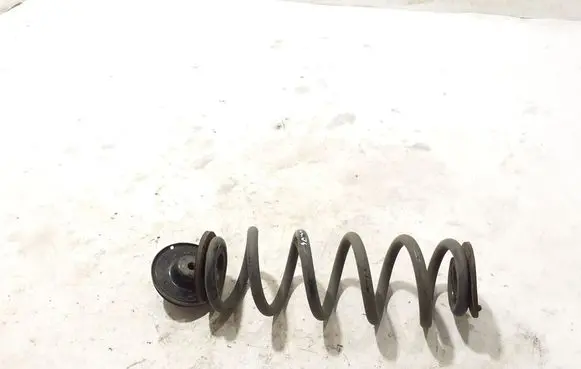 Volvo C40 Rear coil spring 32416104