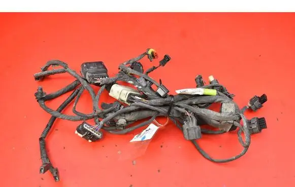 Other wiring loom