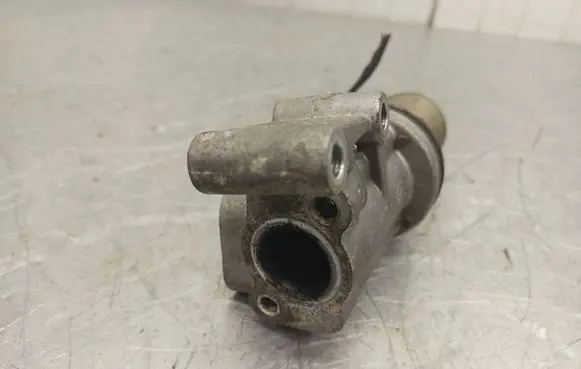 EGR valve