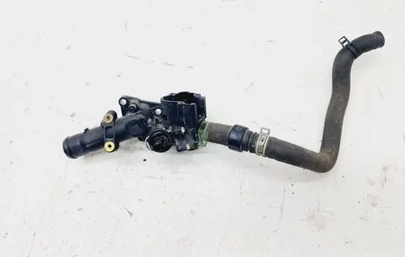 Thermostat/thermostat housing