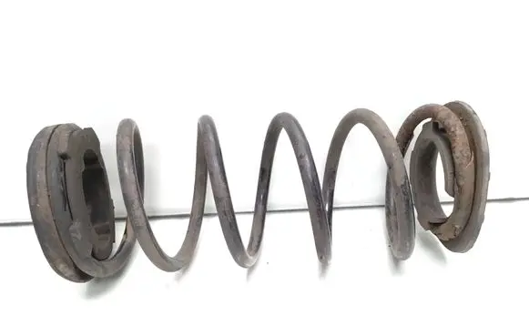 Rear coil spring