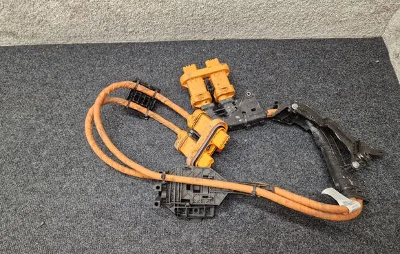 Cupra Born High voltage cable 1EA971015T 1EA973732X 1EA973733X
