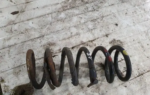 Chevrolet Captiva Rear coil spring NOCODE