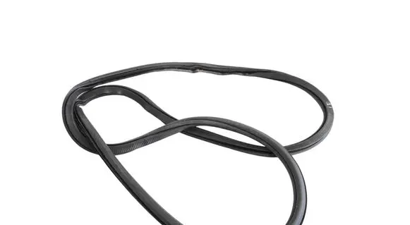 Volkswagen ID.3 Rubber seal front door (on door) 10A867911