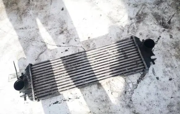 Renault Trafic II (X83) Intercooler radiator 7700312903 91166035