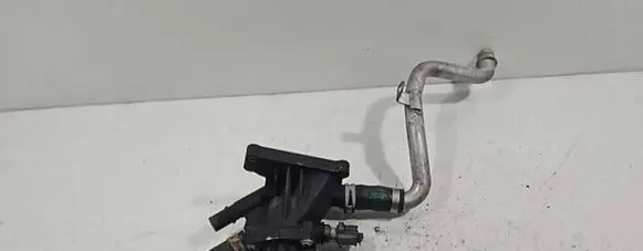 Thermostat/thermostat housing