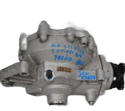KIA Stinger Rear differential T02370