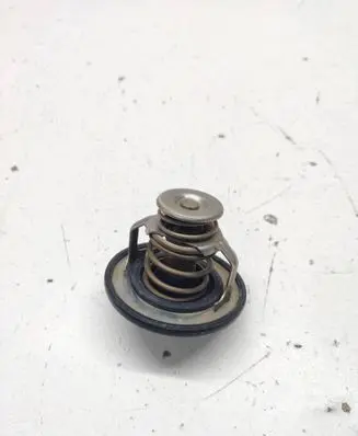 Nissan Almera Tino Thermostat 