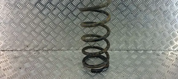 Rear coil spring