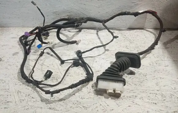 Dodge Challenger Front door wiring loom P68248655AC