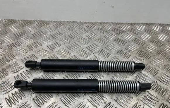 BMW 5 G30 G31 G38 Tailgate strut 7499425