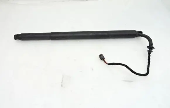 Tailgate strut