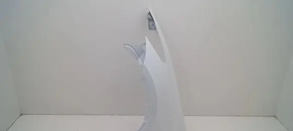 Tesla Model Y Fender