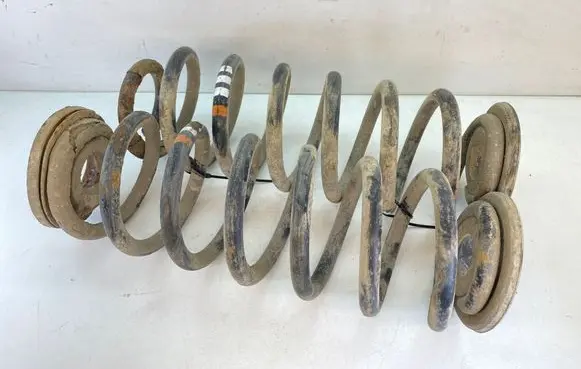 Rear coil spring