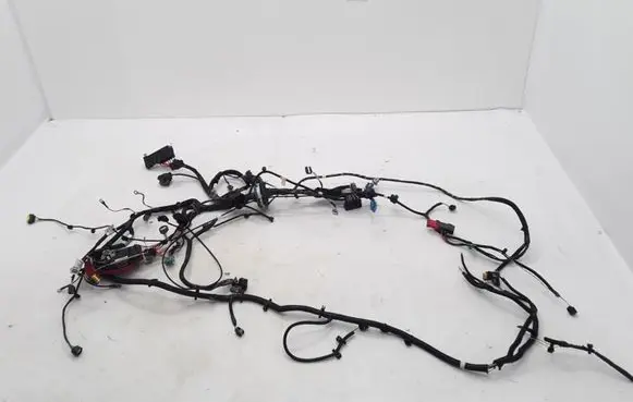 Renault Zoe Other wiring loom 403888371R