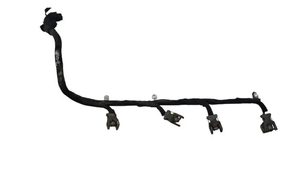 Citroen C5 Fuel injector wires 