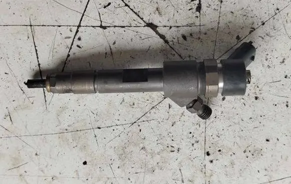 Suzuki Grand Vitara II Fuel injector 0445110230