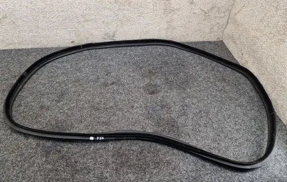 BMW 3 GT F34 Rear door rubber seal (on body) 7381989