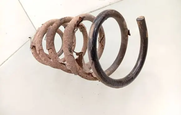 Hyundai Santa Fe Rear coil spring 