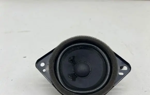Ford Mustang Mach-E Panel speaker JX7T18808DA