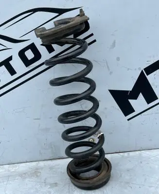 Rear coil spring