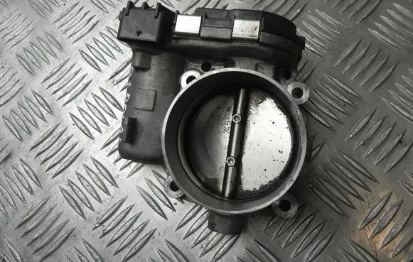 Throttle body valve
