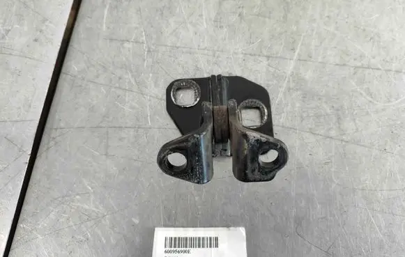 Tesla Model S Rear door lower hinge 600956900E