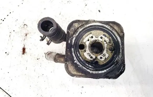 Audi A6 S6 C5 4B Engine oil radiator 