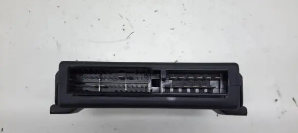 Opel Zafira A Comfort/convenience module 24410018 F005V00131 1355180500