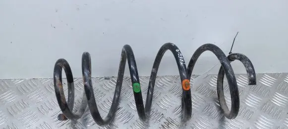 Front coil spring