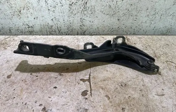 Chrysler 200 Engine bonnet/hood hinges 719AA