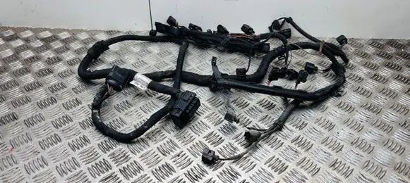 Volkswagen PASSAT B7 Engine installation wiring loom 03C972619CE