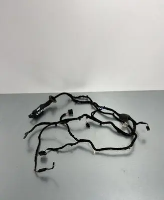Front door wiring loom