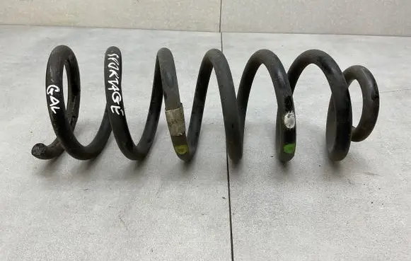 Rear coil spring