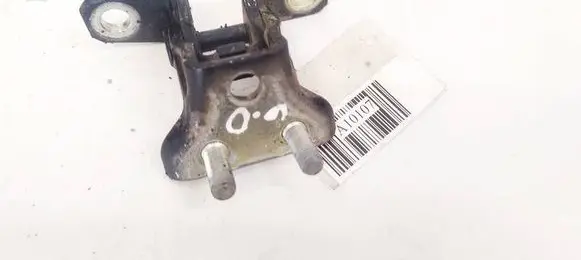 Mitsubishi Lancer X Tailgate/trunk/boot hinge