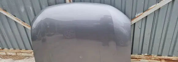 Engine bonnet/hood