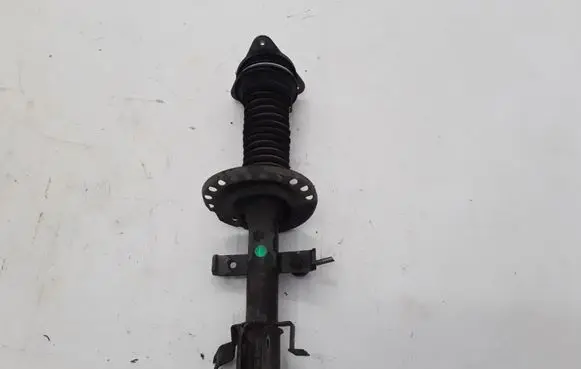 Renault Zoe Front shock absorber/damper 543027411R