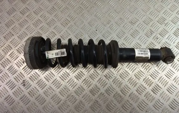BMW X3 F25 Rear shock absorber with coil spring 6796317