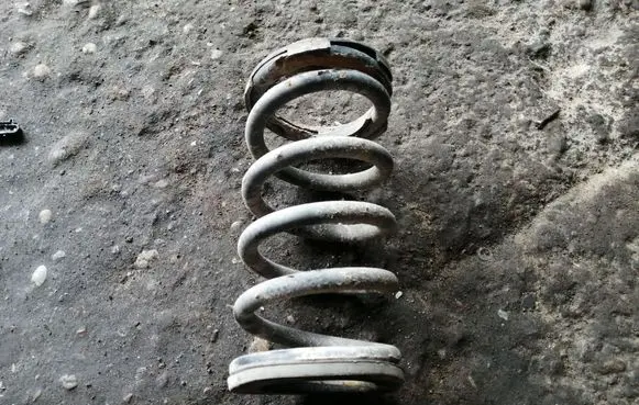 Mitsubishi Grandis Rear coil spring