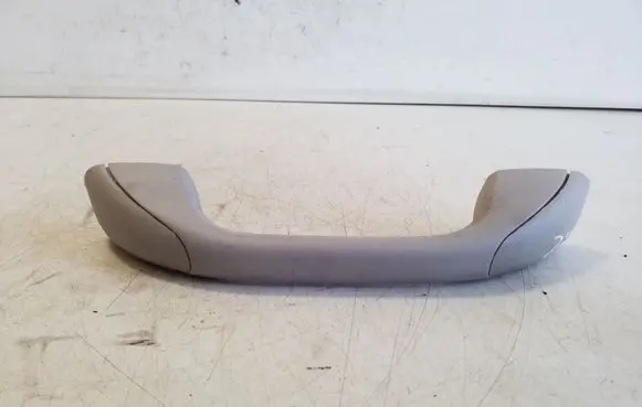 Iveco Daily 5th gen Front interior roof grab handle