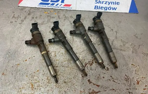 Renault Kangoo II Fuel injector H8201108033