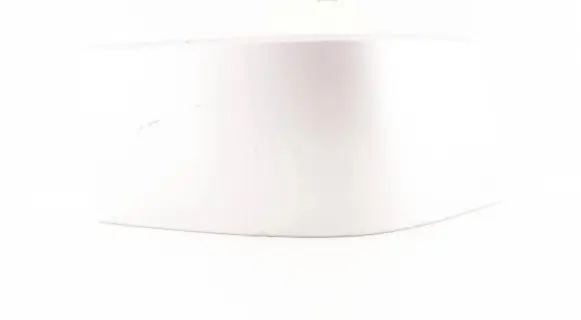 Rear/tail light trim molding