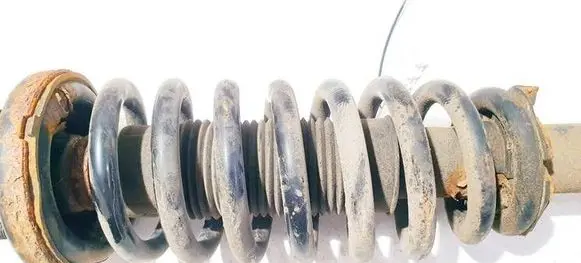 Honda Accord Front coil spring 