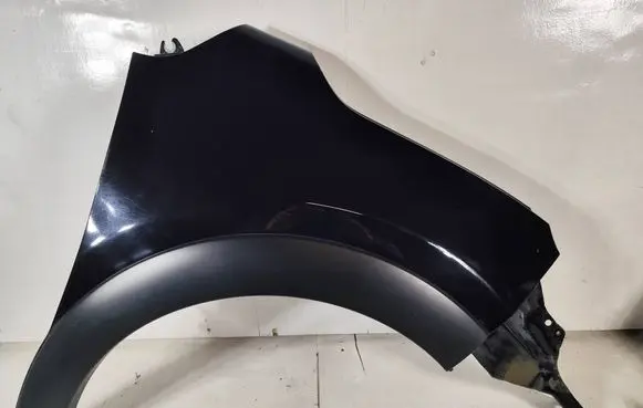 Citroen C3 Fender BLOTNIKPPC33KTV