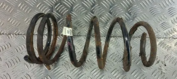 Rear coil spring