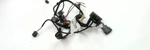 Volkswagen PASSAT B5.5 Front door wiring loom zsb966637 191972704