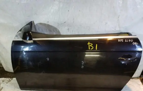 Volkswagen Eos Front door