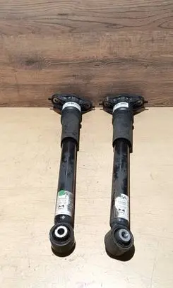 Peugeot 2008 II Rear shock absorber/damper 9836658080 SA27000093 9836653880