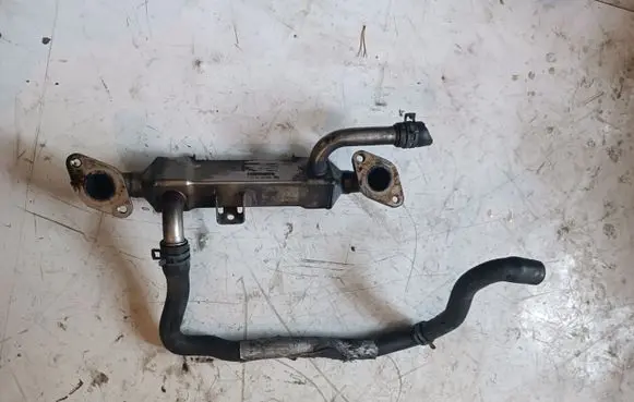 Seat Alhambra (Mk1) EGR valve cooler BH0038131513L