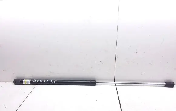 Tailgate/trunk strut/damper